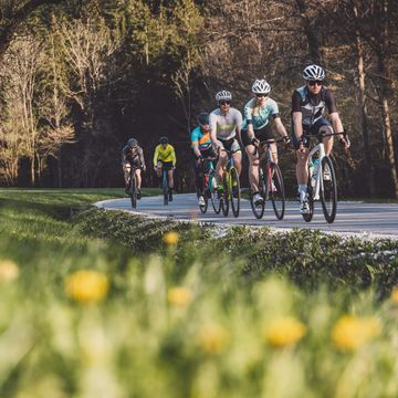 Radfahrende auf Landstrasse vor Wald