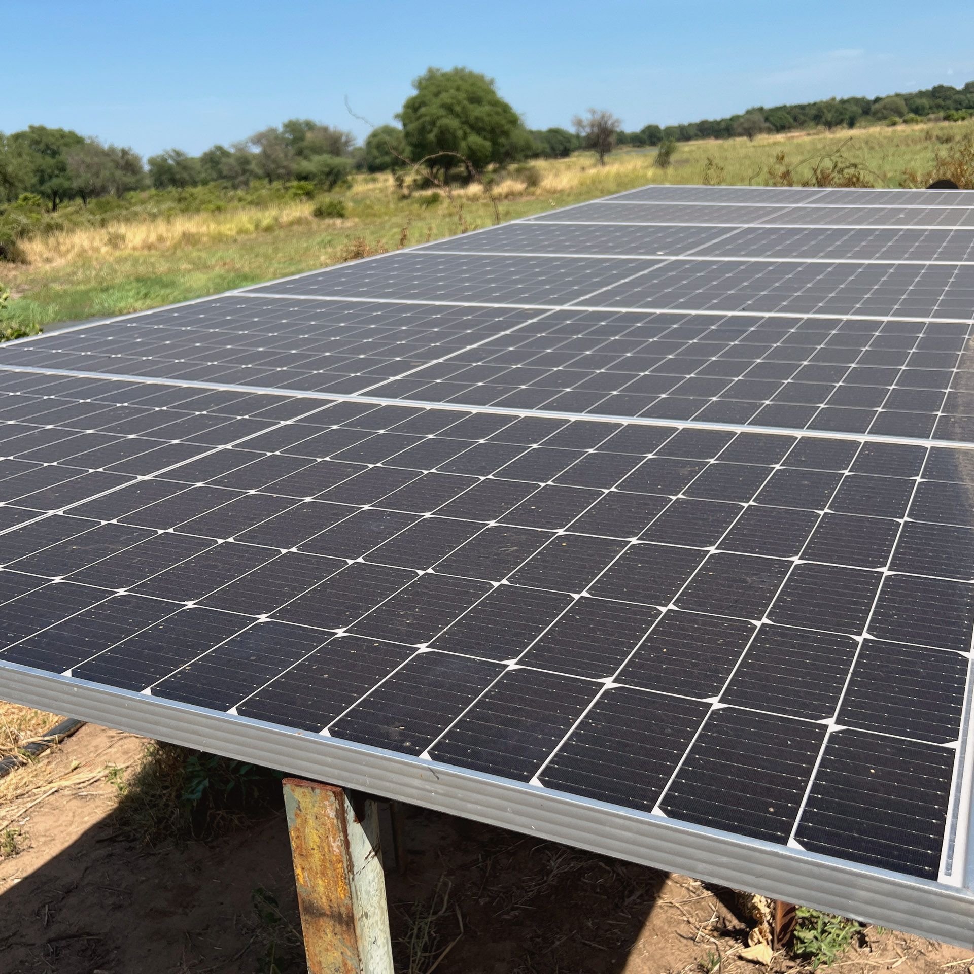 Solarpanele auf Sand vor gruener Wiese mit Bäumen und blauem Himmel