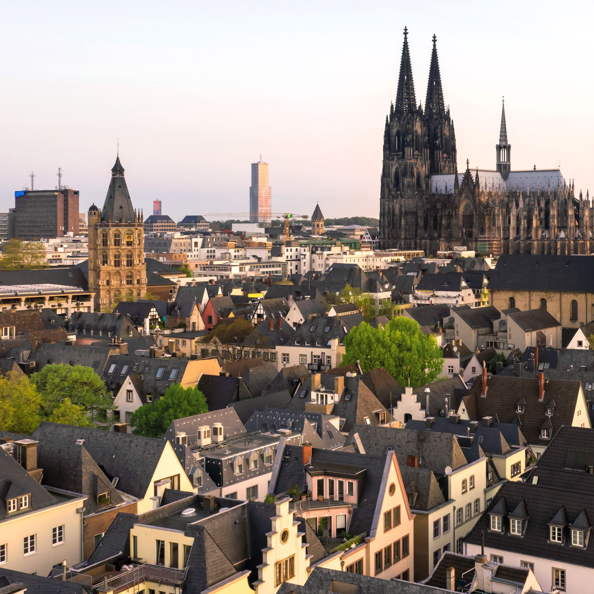 Foto der Stadt Köln