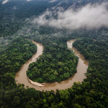 Fluss fliesst durch Regenwald