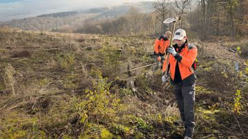 Arbeiter arbeiten mit Werkzeug im Wald