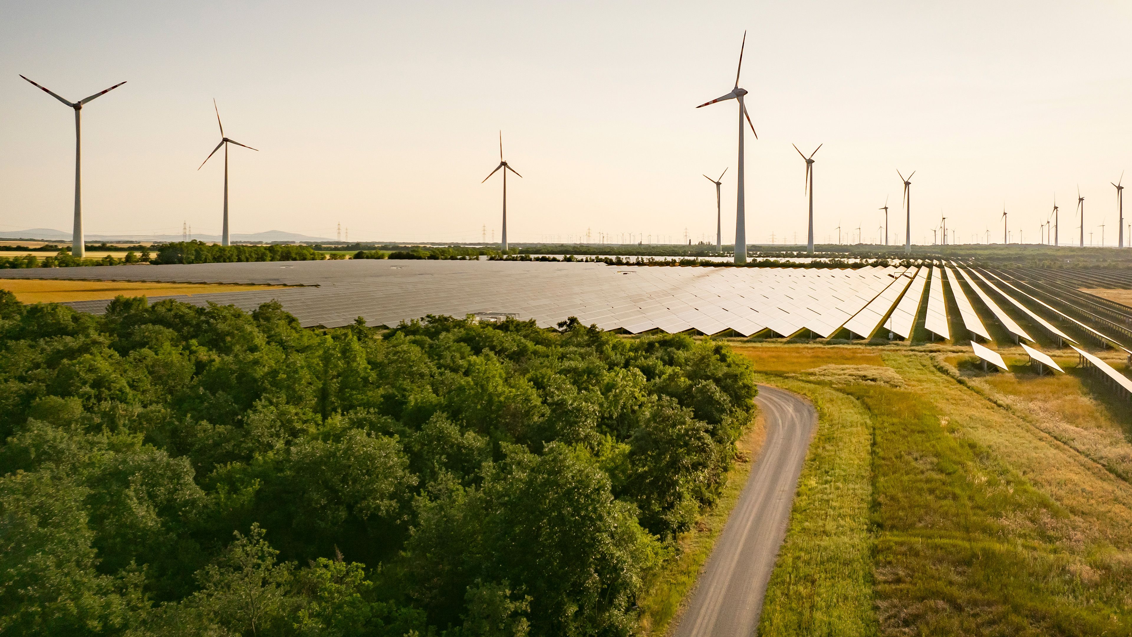 Solarpark mit Windraedern in der Abendsonne