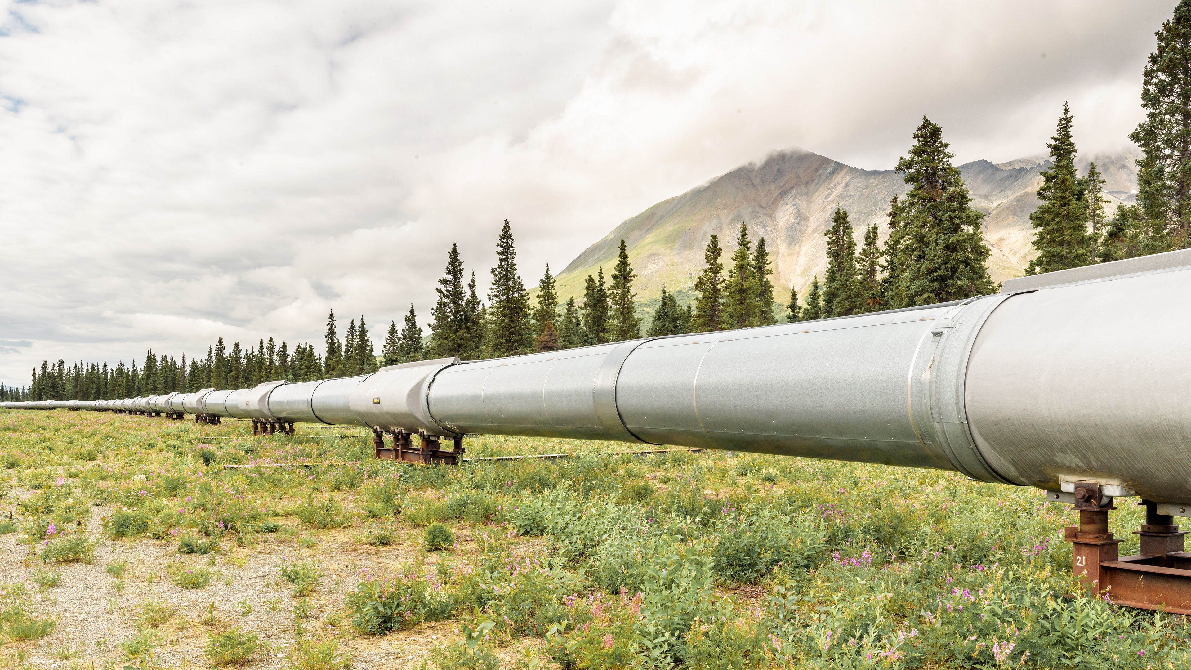 Gaspipeline im Wald