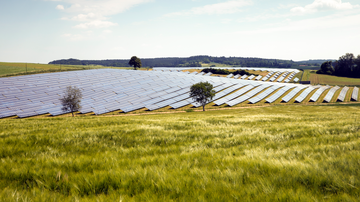 Solarpark auf gruenem Feld