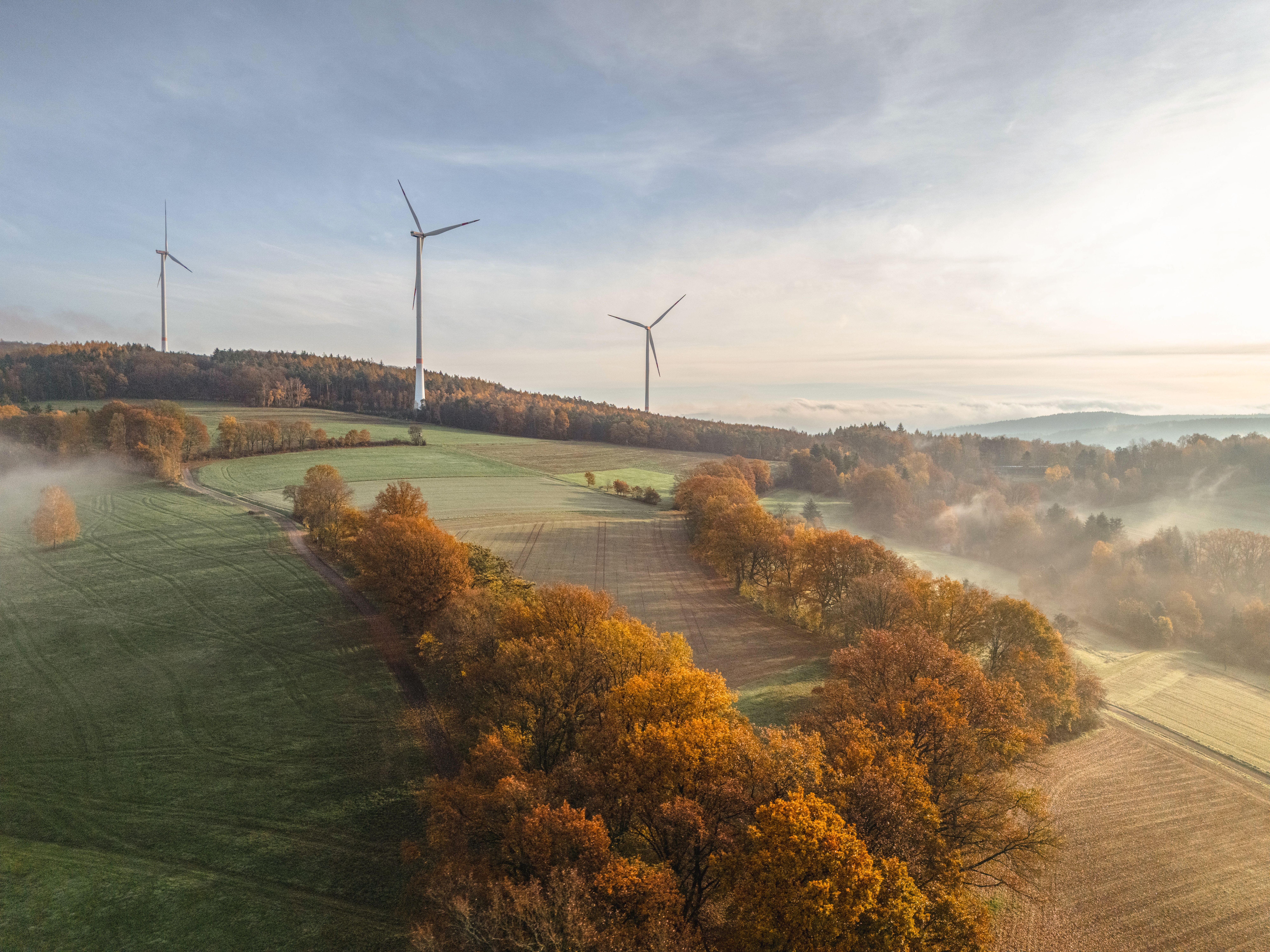 Windräder auf hügeligen Feldern