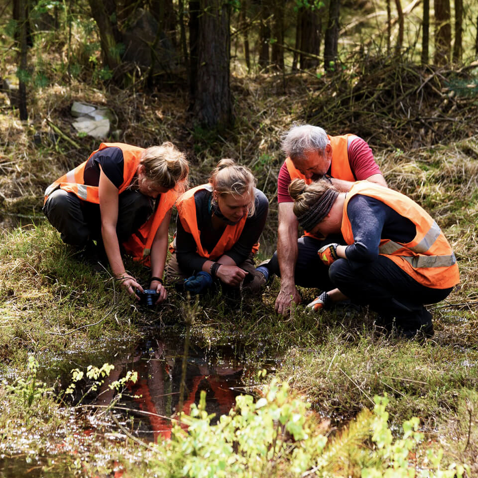 Gruppe von Menschen untersucht Waldboden