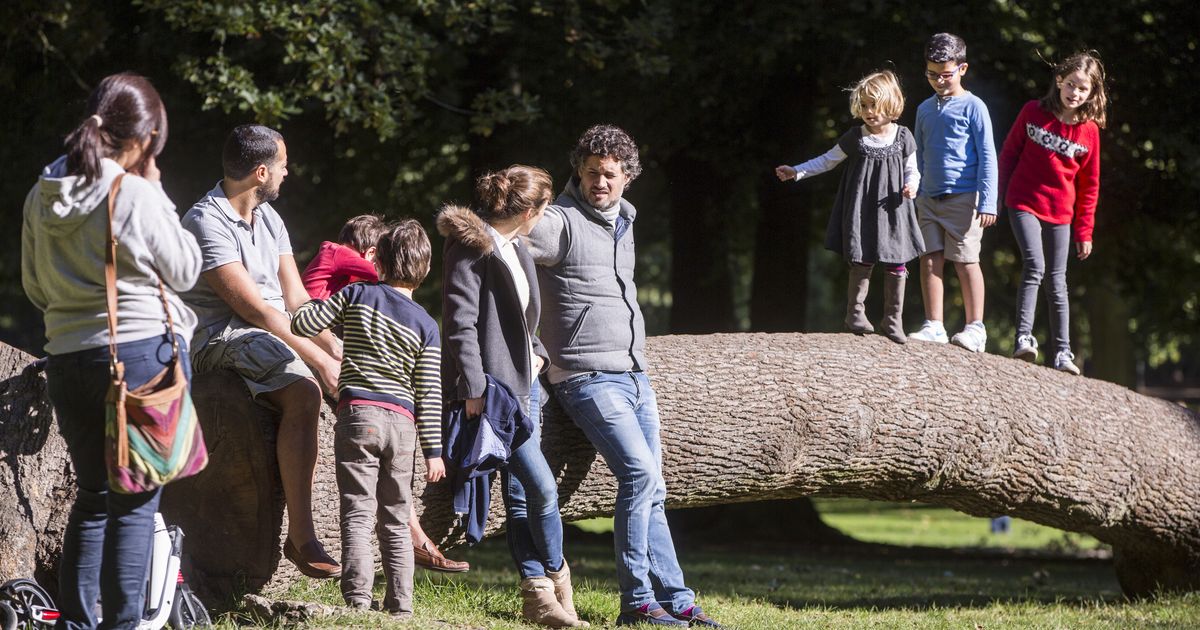 Recent developments in work–life balance in Finland | Eurofound