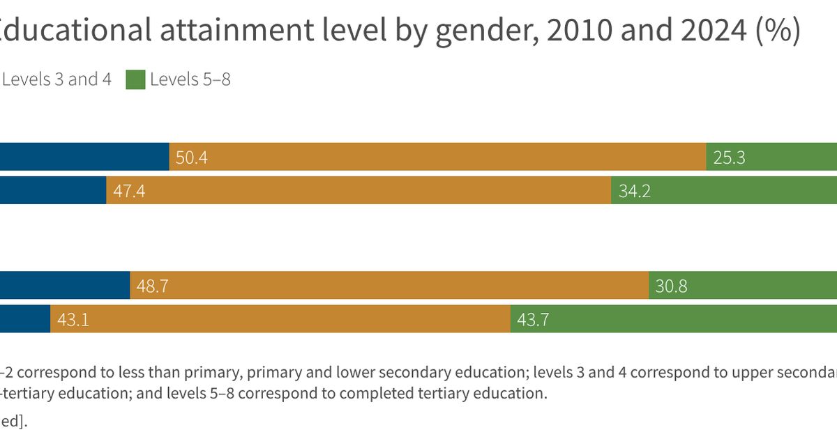 Educational attainment level by gender, 2010 and 2024 (%) | Eurofound