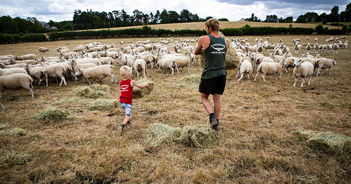 Keeping rural Europe connected | Eurofound
