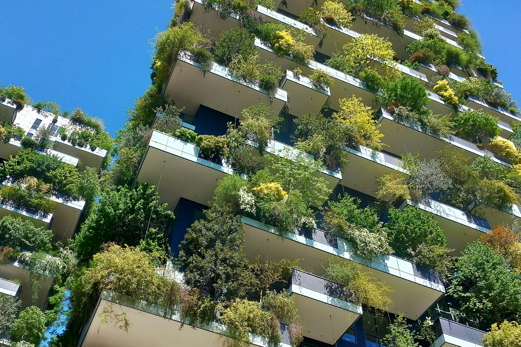 Immobilier durable