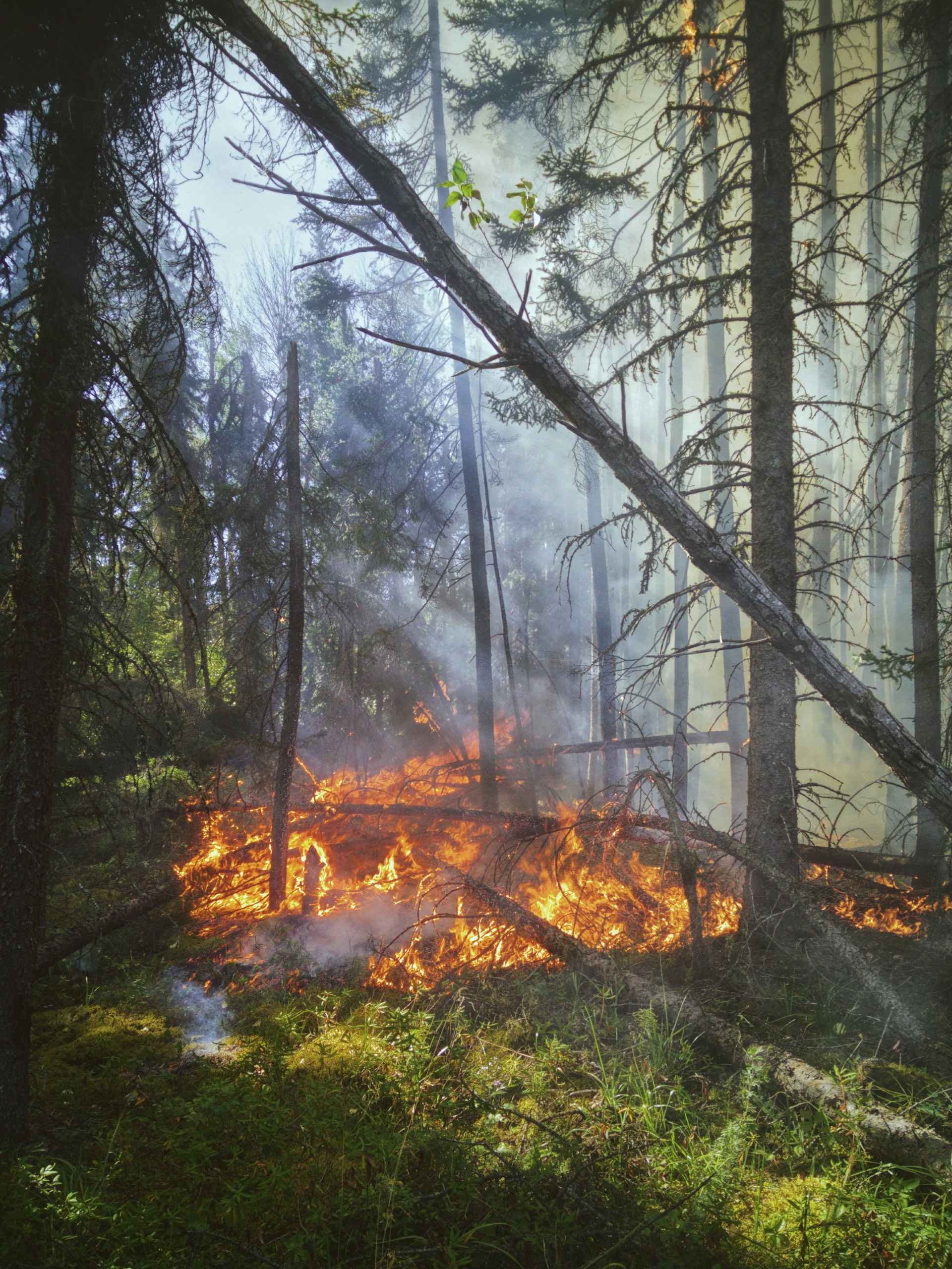 Multiplication des incendies