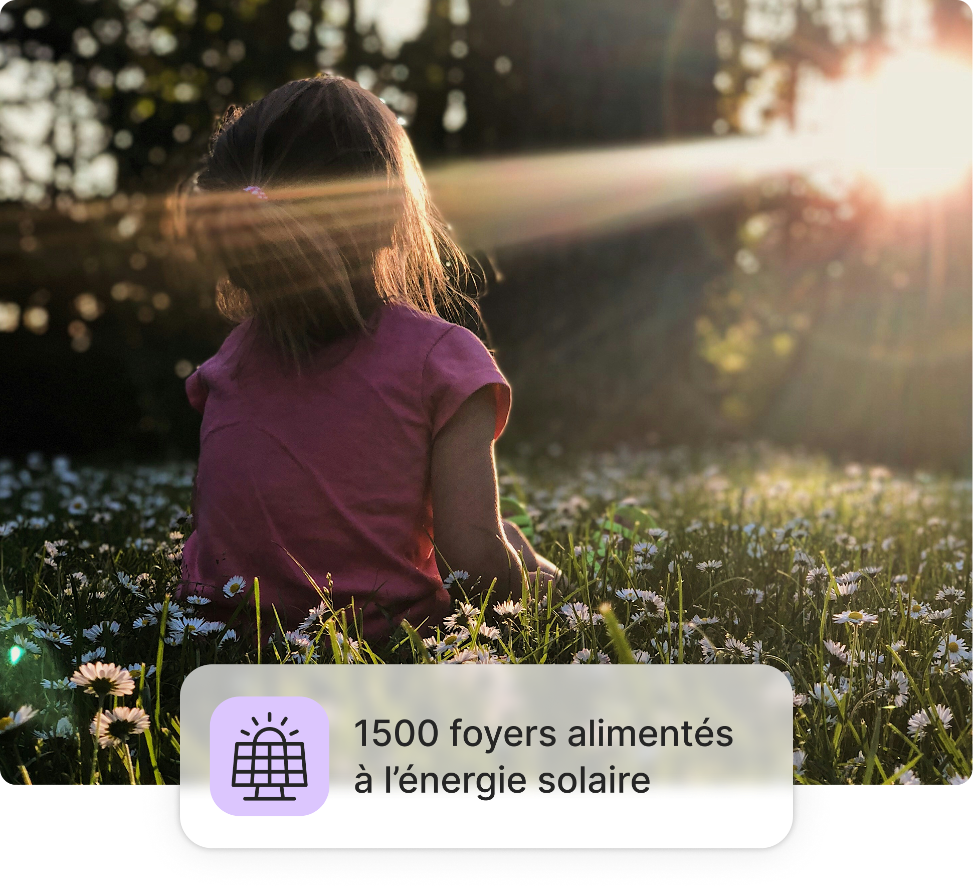 Image d'illustration