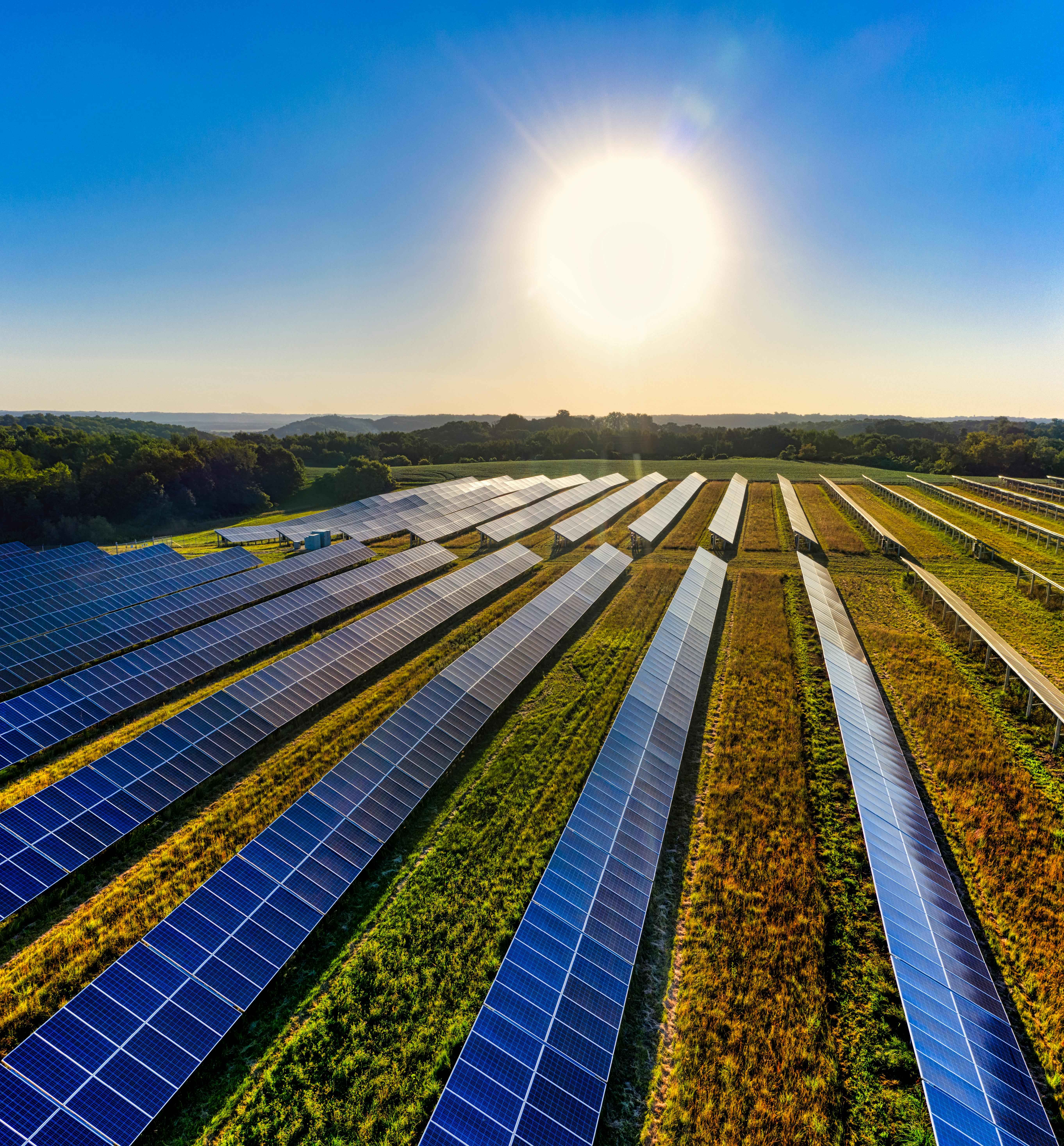 panneaux solaires