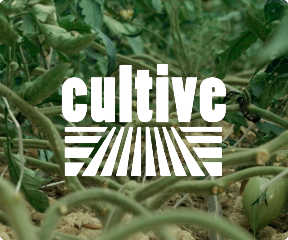 Cultive