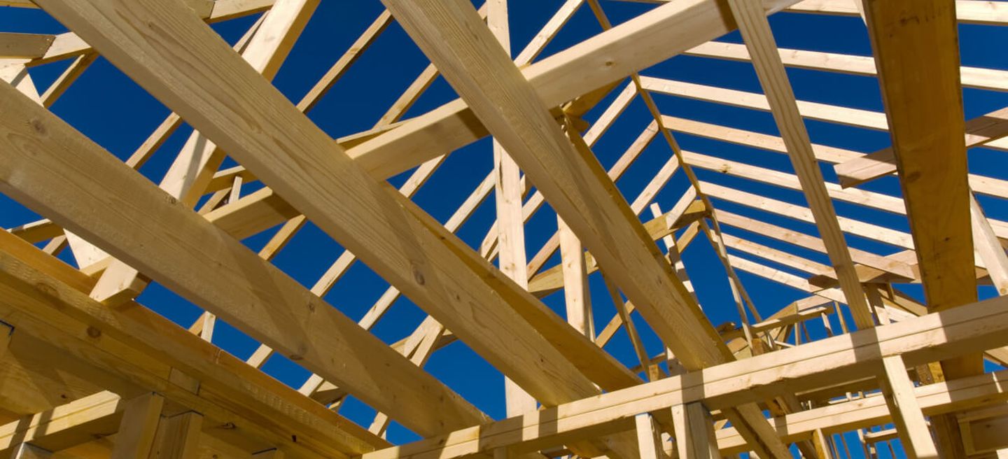 Studs, joists, plates, and rafters of a wood framed building.