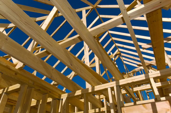 Studs, joists, plates, and rafters of a wood framed building.