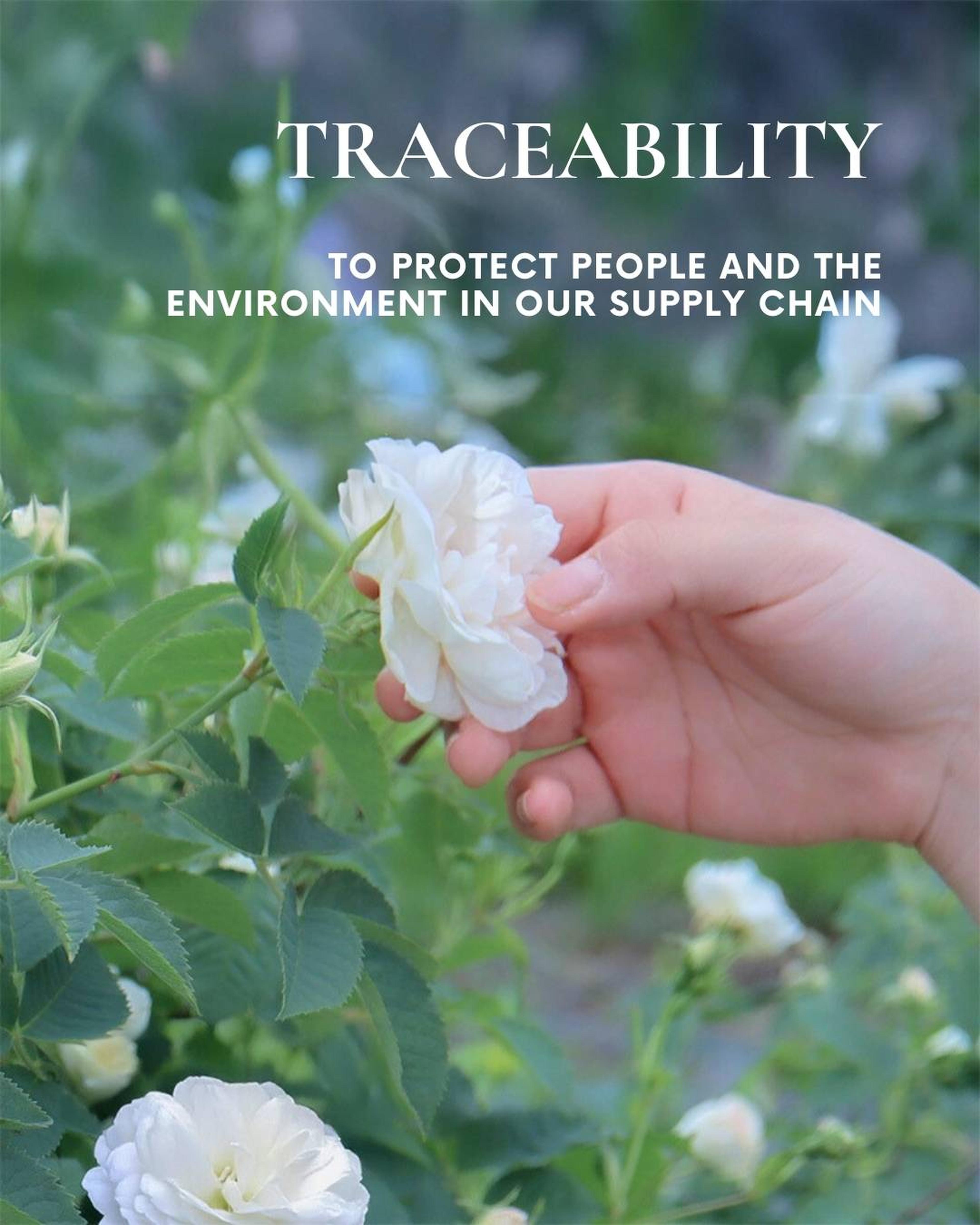 Traceability