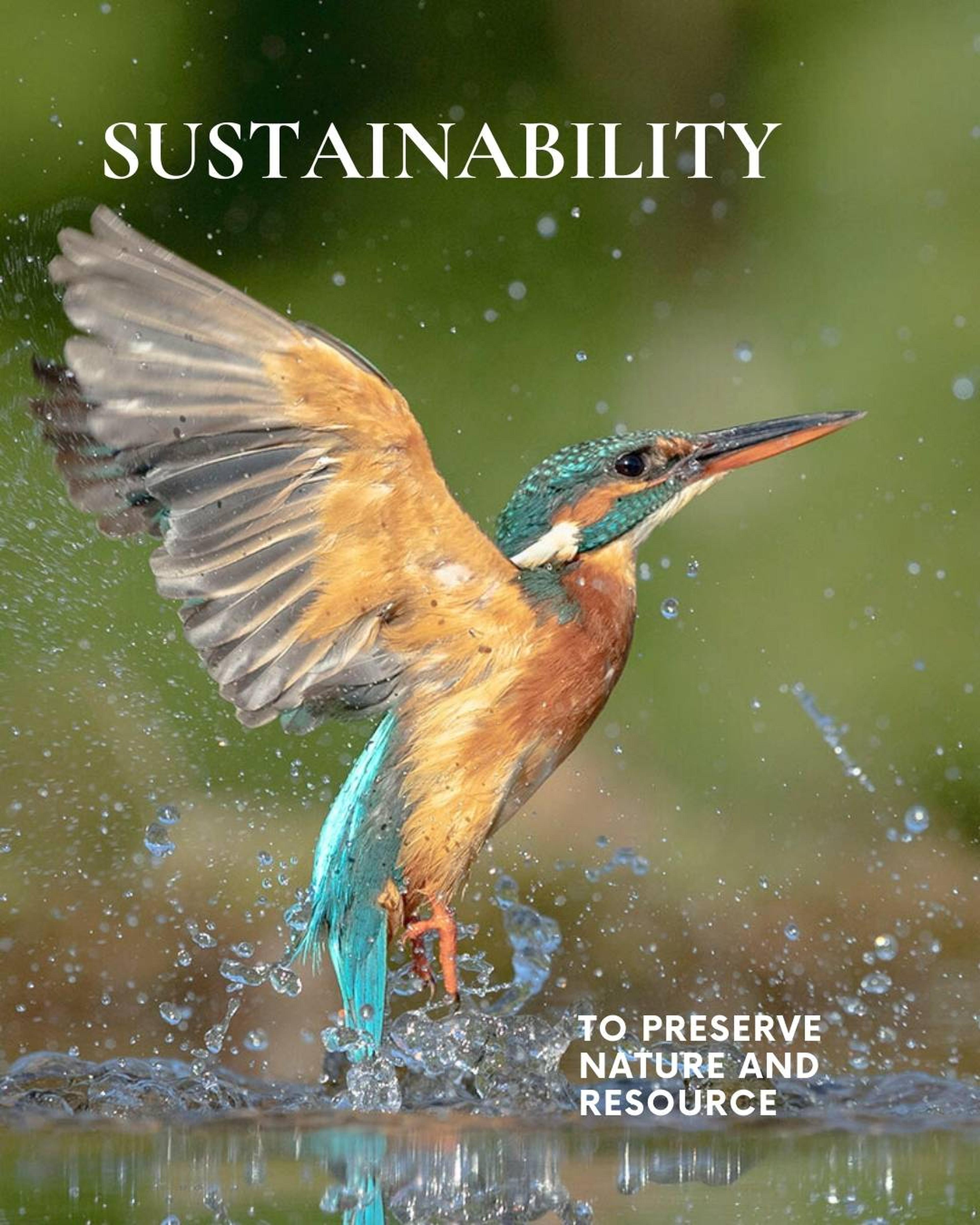 Sustainability