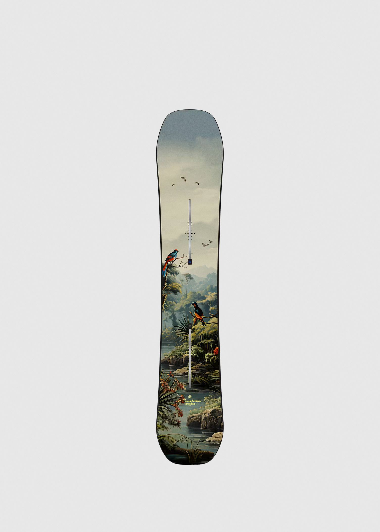 Custom Snowboard image