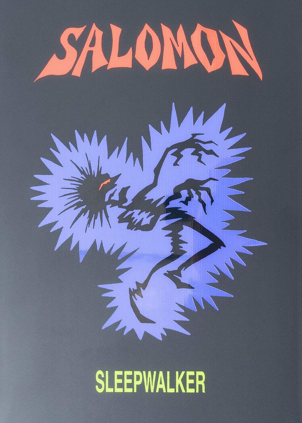 Salomon Snowboards Sleepwalker Snowboard