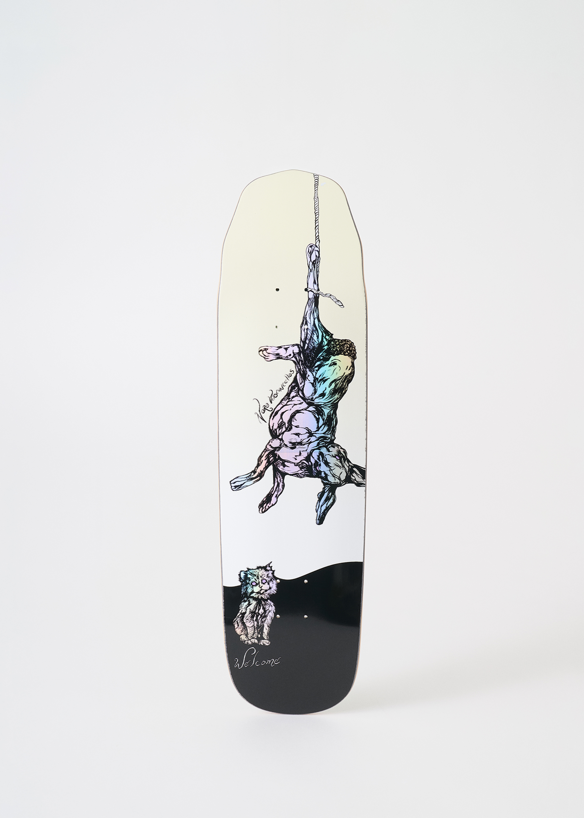 希少！NITRAID  forest SKATEBOARDS 813441900_studio_thesnowboarda