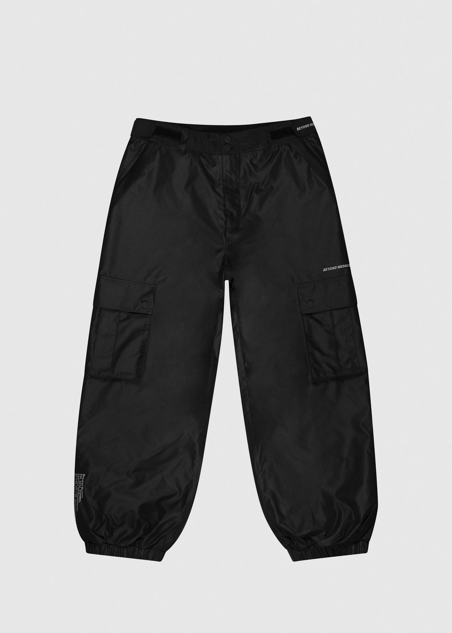 Cargo 2L Pants image