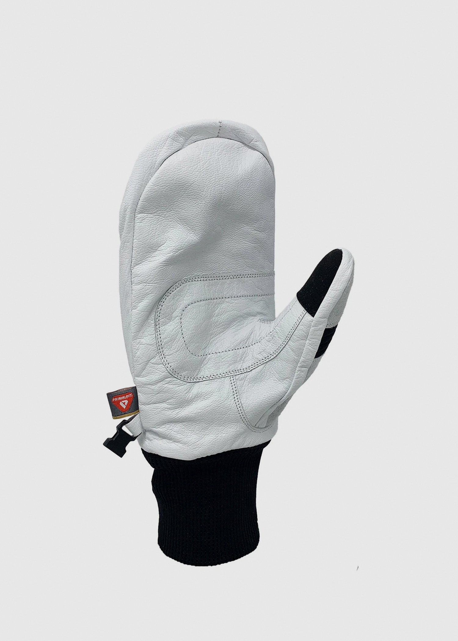 Transform Photo Incentive Mittens
