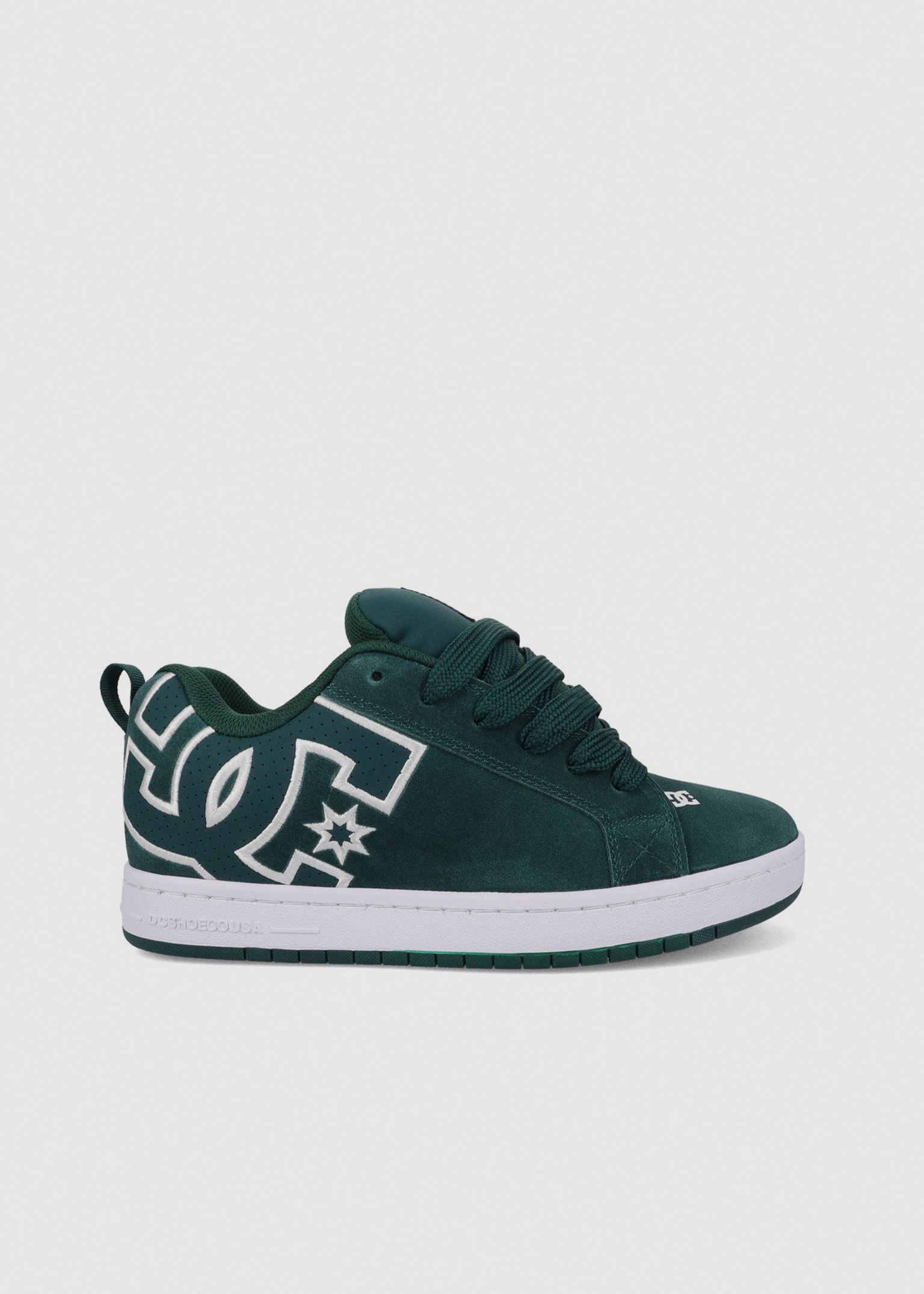 Court Graffix SE Skate Shoe image