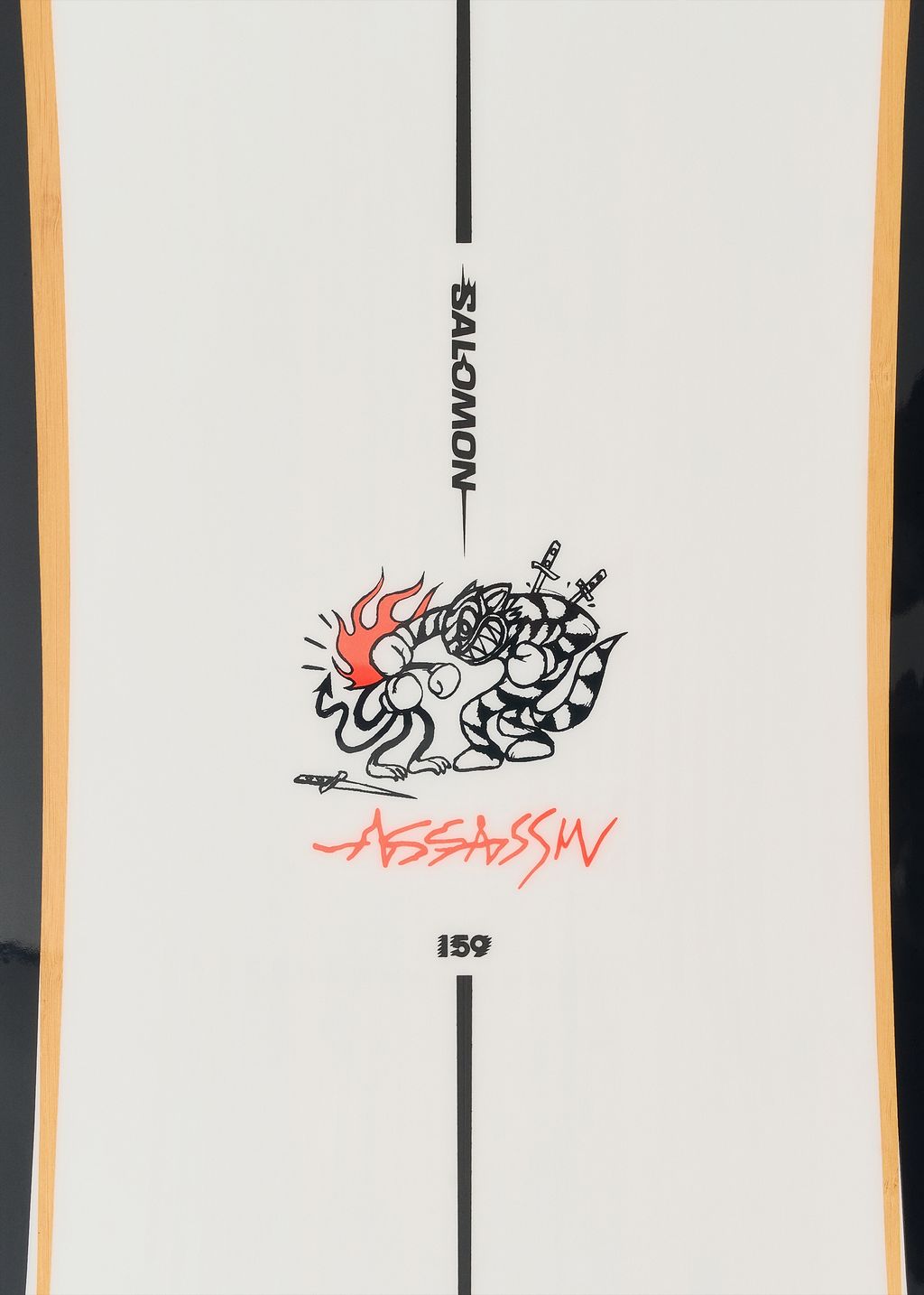 Salomon Snowboards Assassin Snowboard