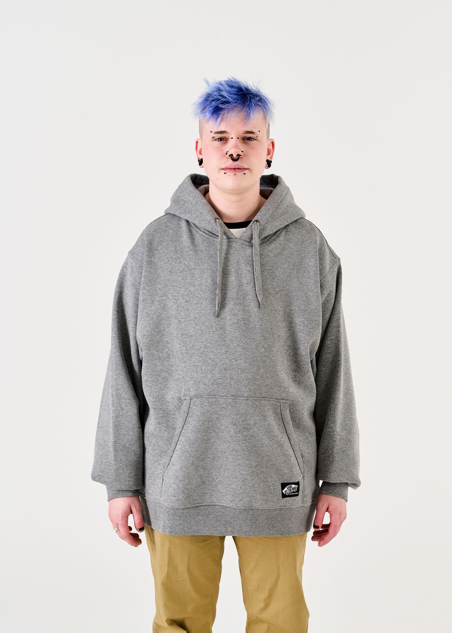 Skate Classics Po Hoodie image