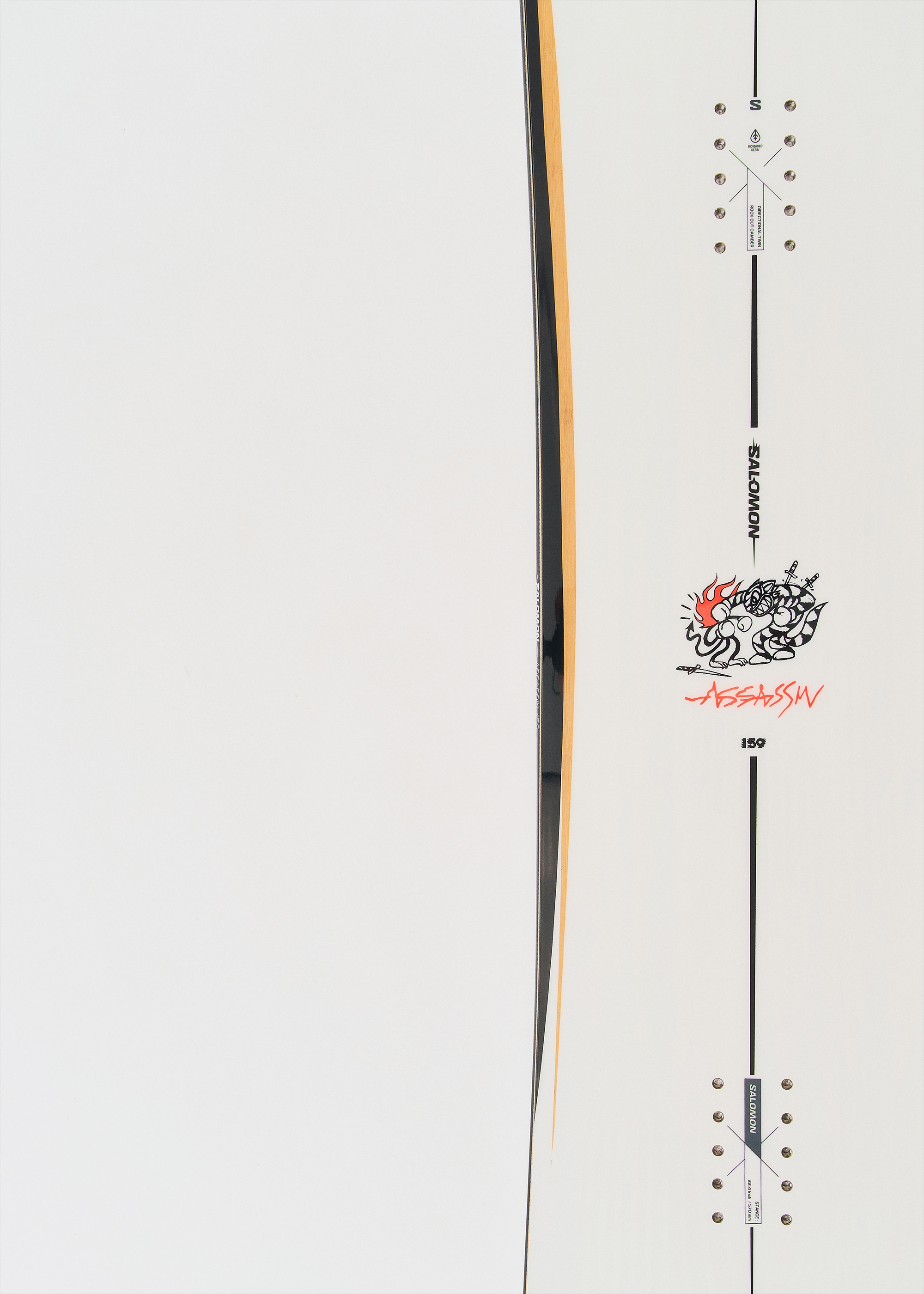 Salomon Snowboards Assassin Snowboard