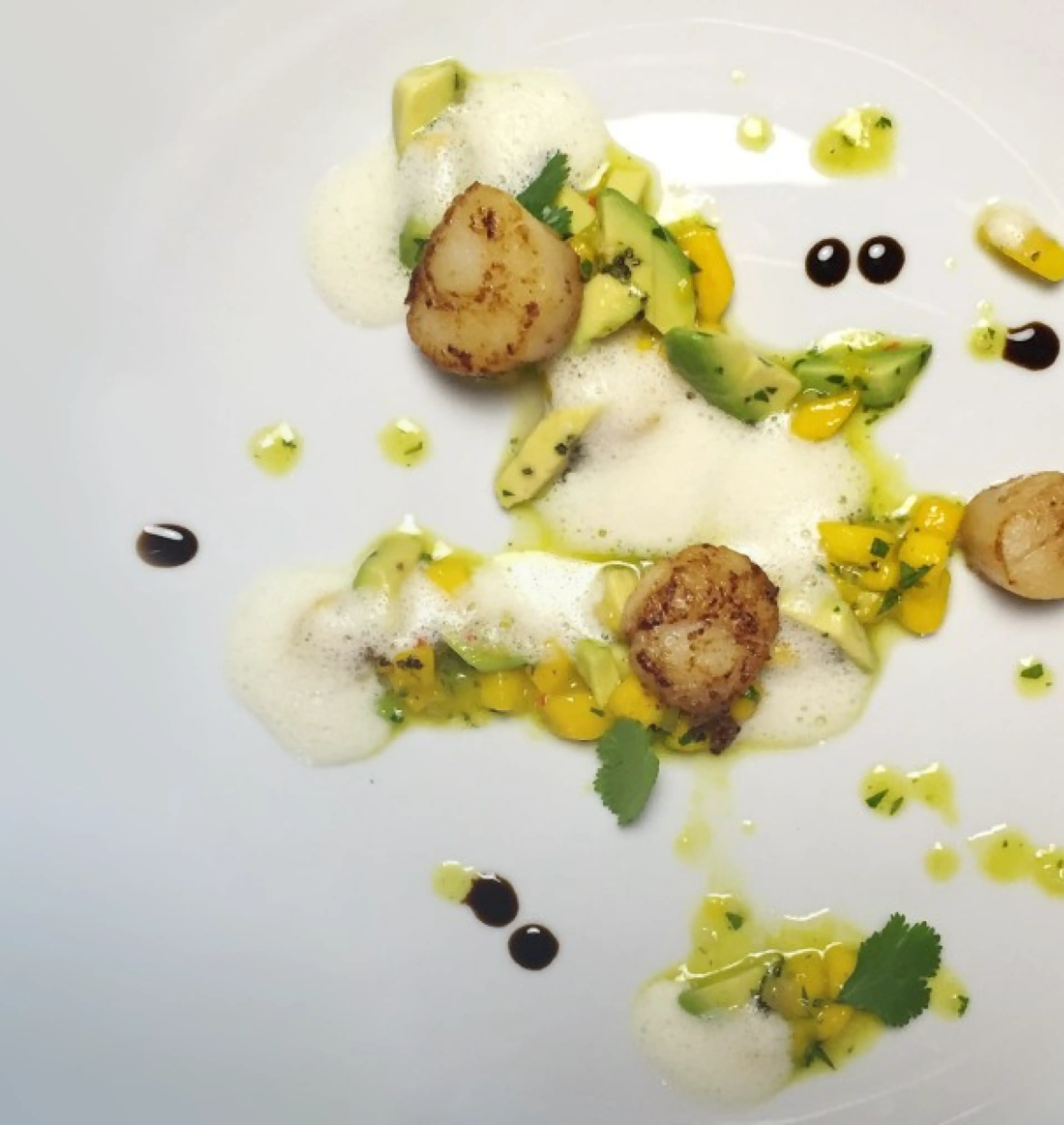 Gourmatmäßig angerichteter Teller mit Jakobsmuscheln, Mango und Curryschaum