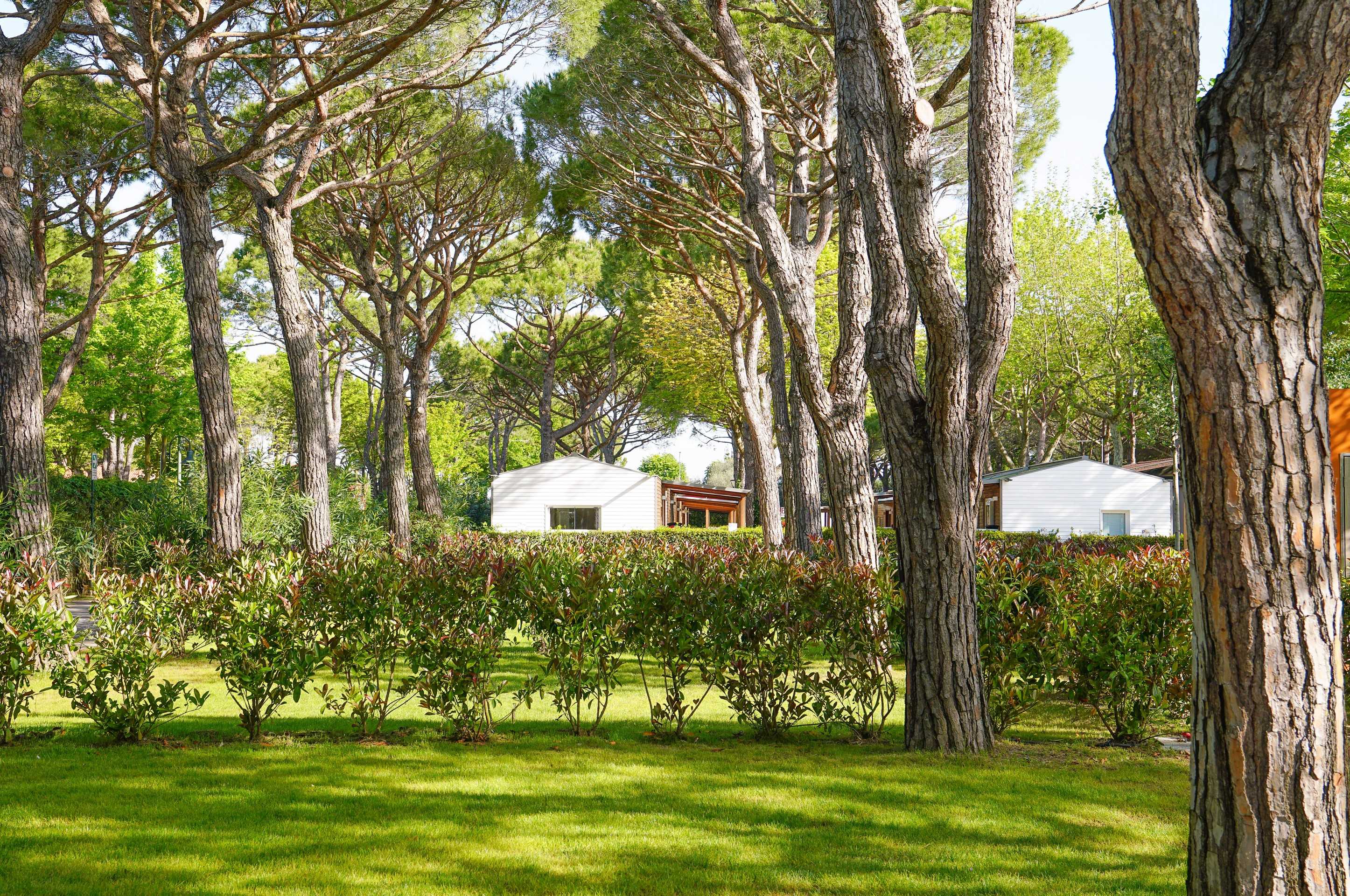 Ambiente naturale e pianeggiante