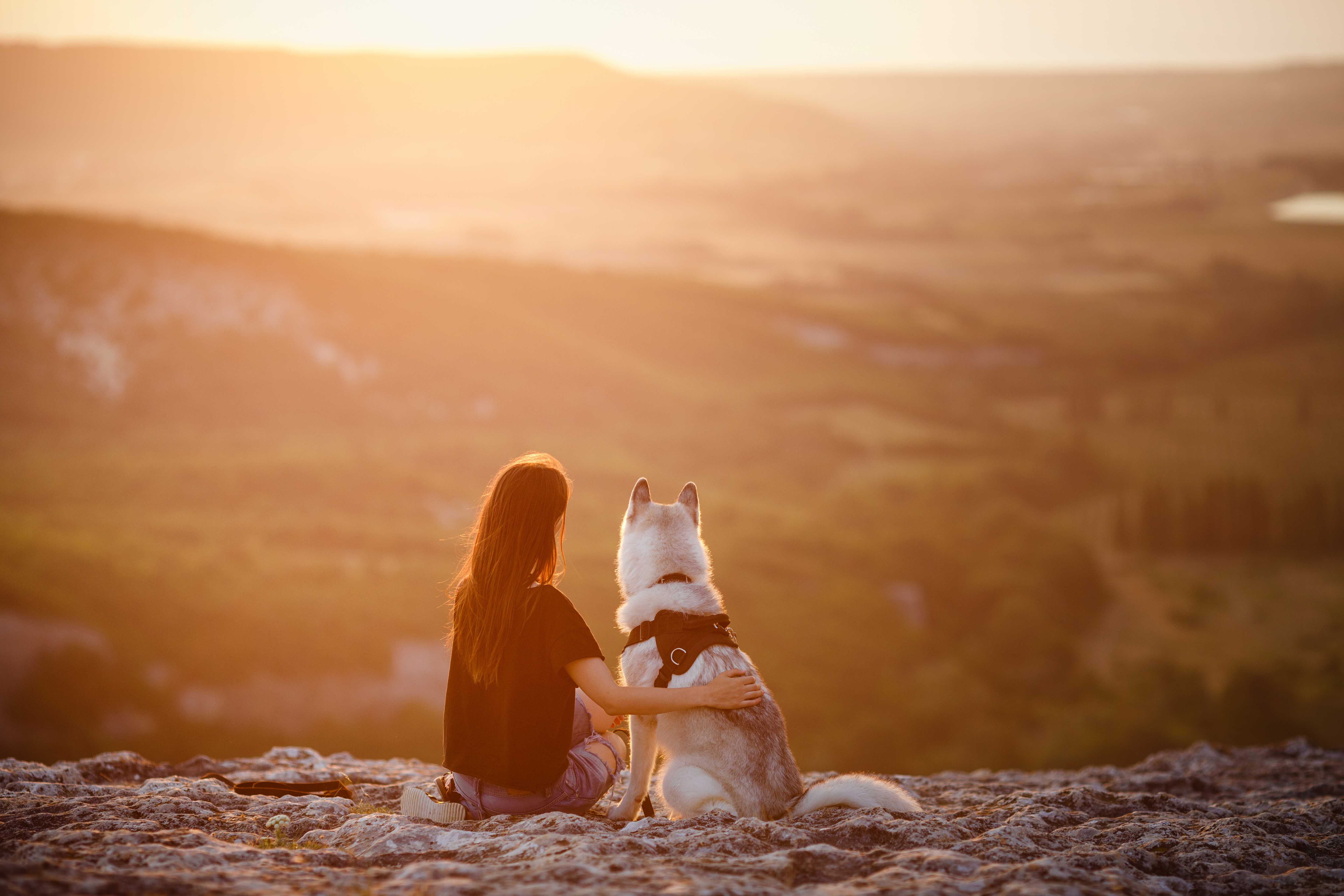 Trekking dog friendly con soste panoramiche 