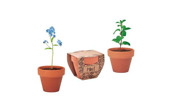 Vasetti Piantine