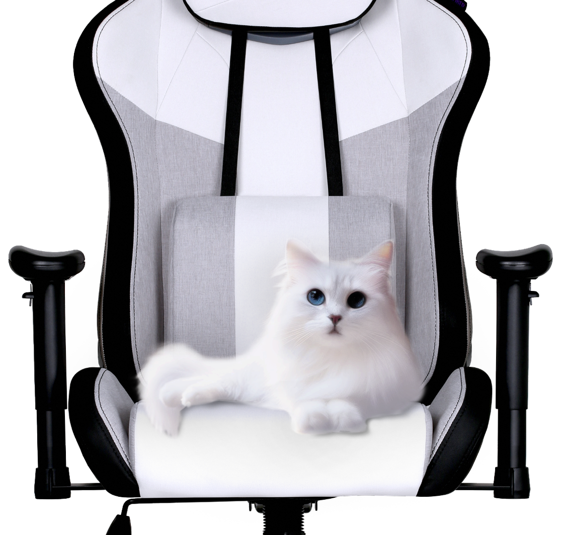 כיסא גיימינג Caliber R3C&nbsp;מבית&nbsp;Cooler Master