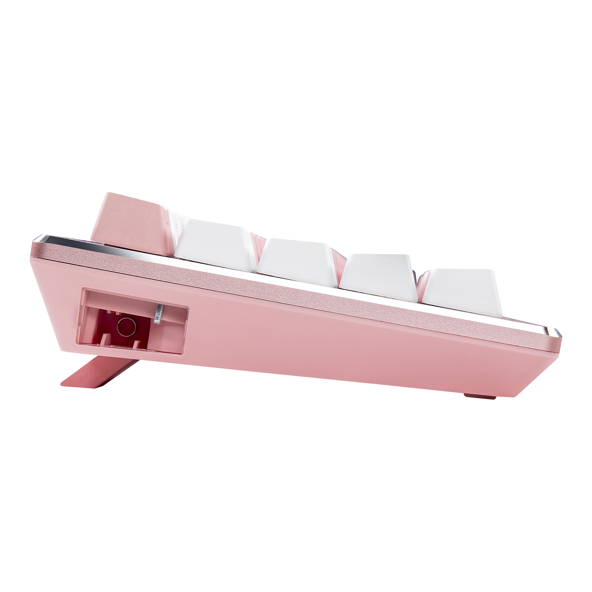 ck721-sakura-gallery-06.png
