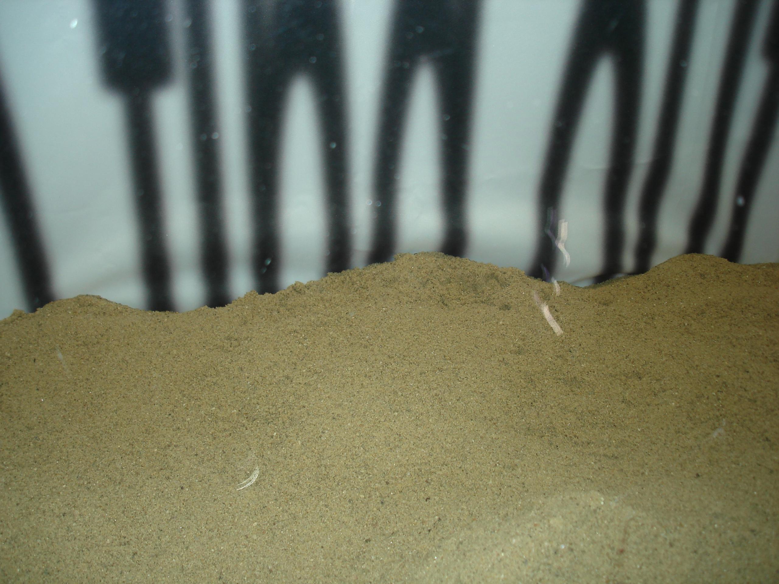 Sand piled against a wall with blurry black vertical lines in the background.