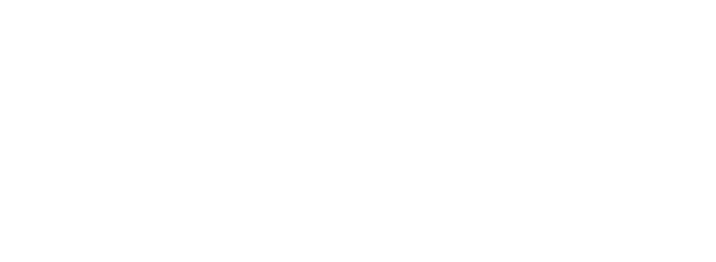 Shoe shelves