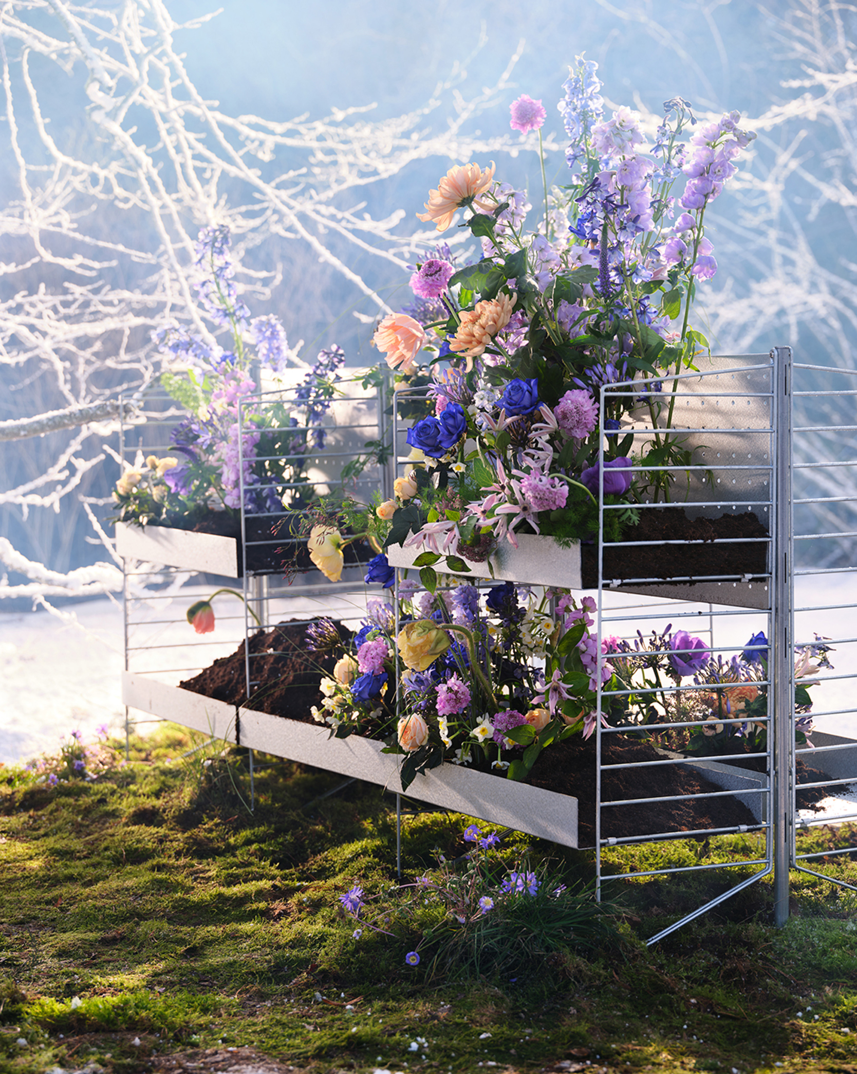 Curated image