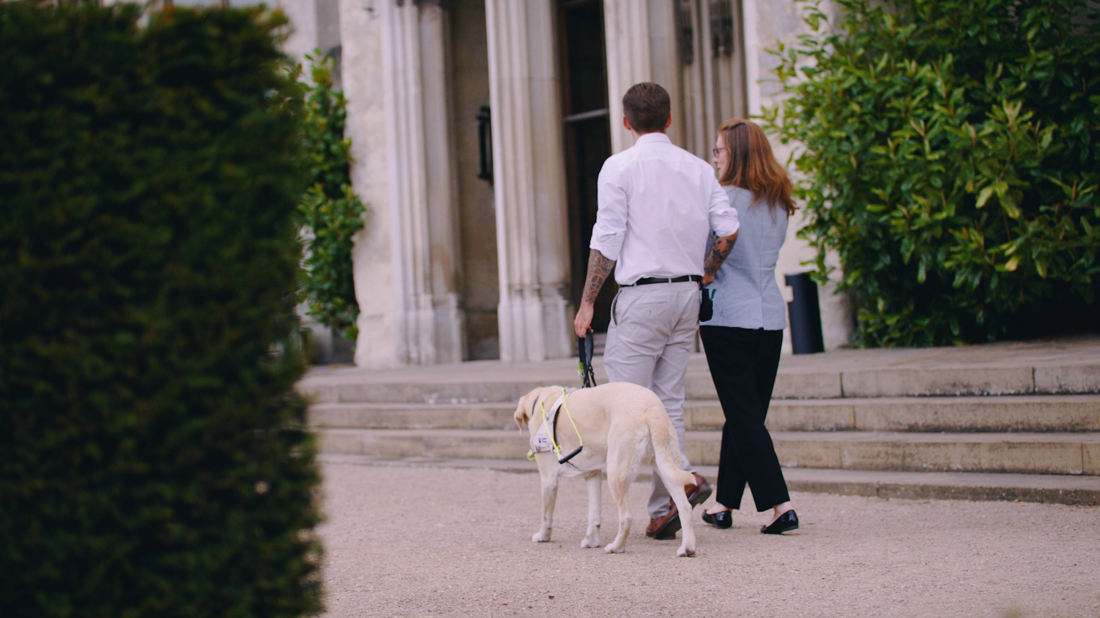 Two professionals walking in a garden scenery one walking with a labrador guide dog