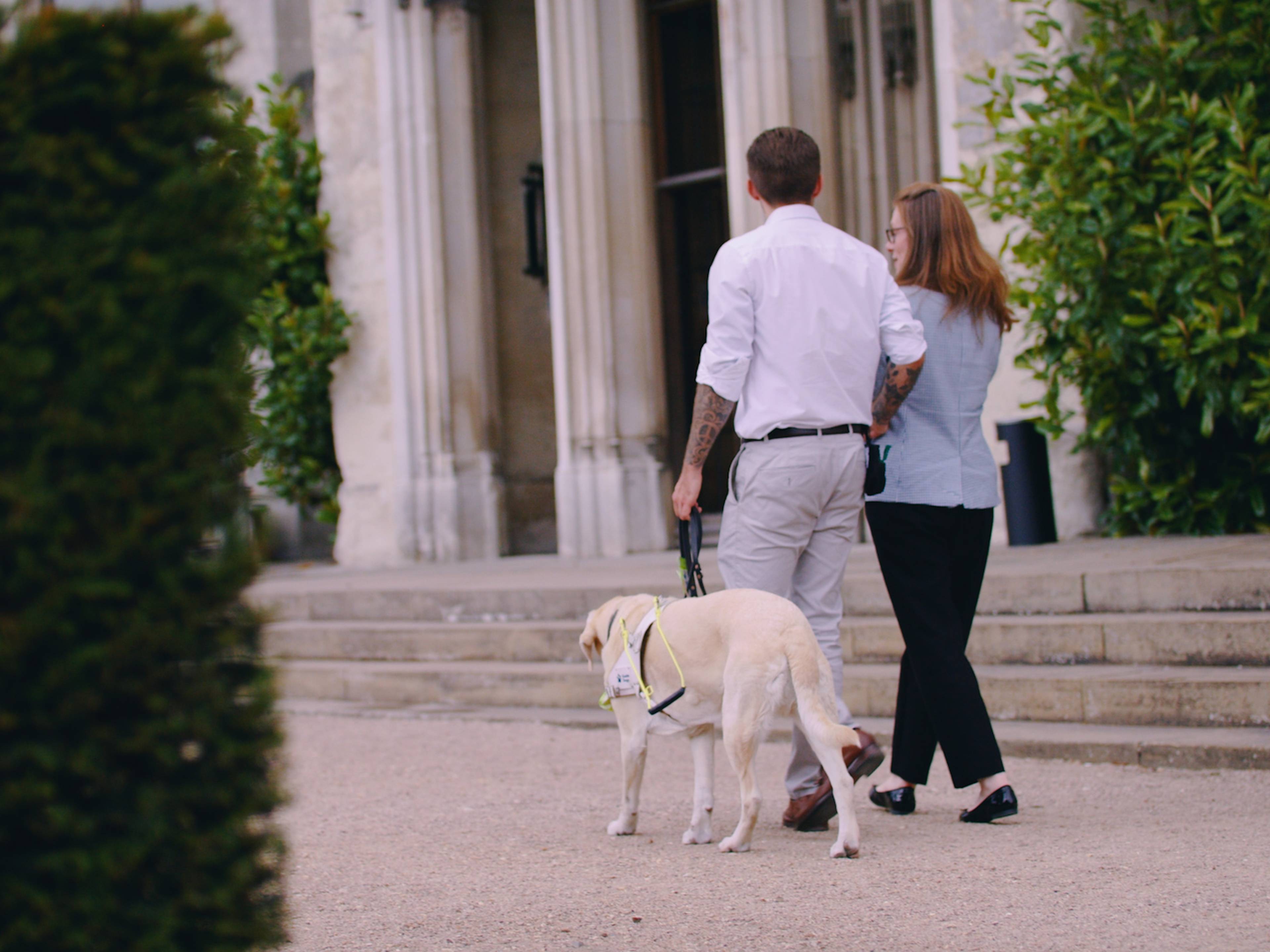 Two professionals walking in a garden scenery one walking with a labrador guide dog