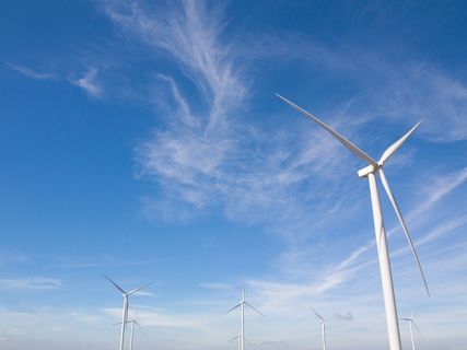 Green Economy: che cos’è, come funziona e perché ne abbiamo bisogno