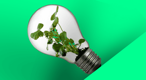 Innovazione sostenibile: l’importanza della tecnologia per il pianeta