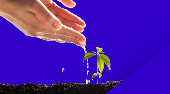 10 idee green per uno stile di vita più sostenibile