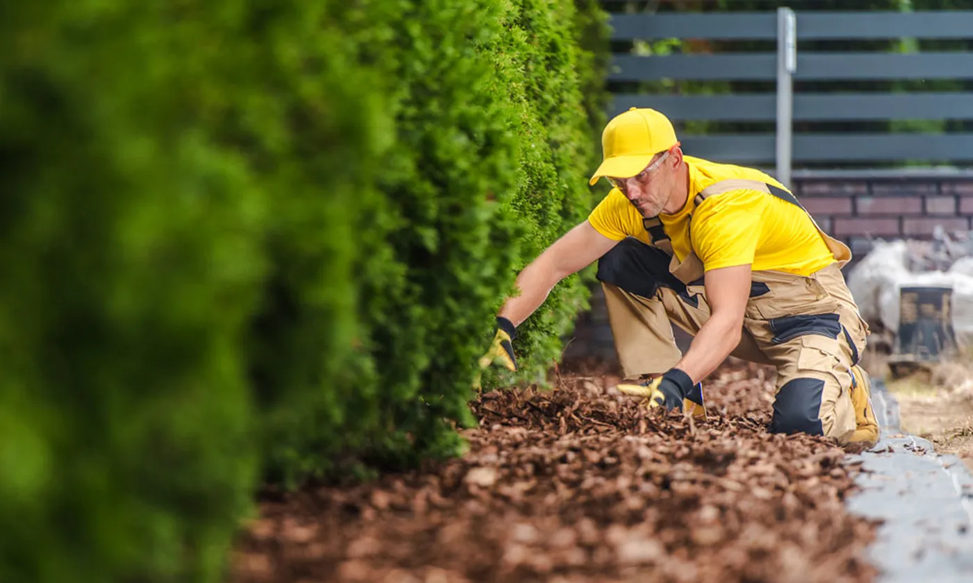 Nurseries: The Backbone of a Greener UAE