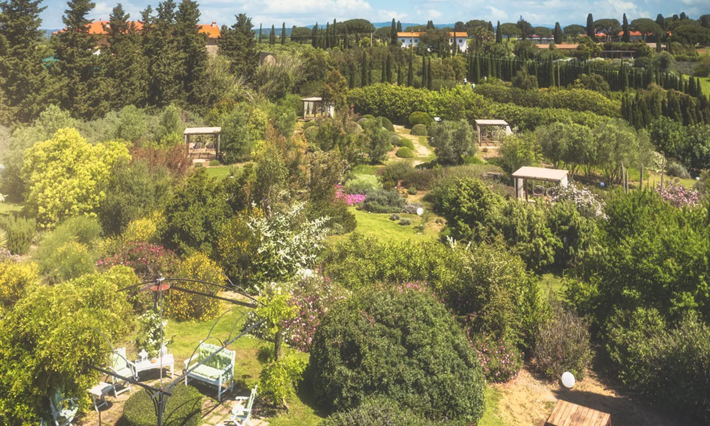 BotanicalDryGarden Champions Sustainable Green Design with Alternative Lawns in the Mediterranean