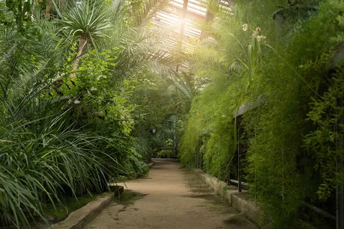 Myplant & Garden