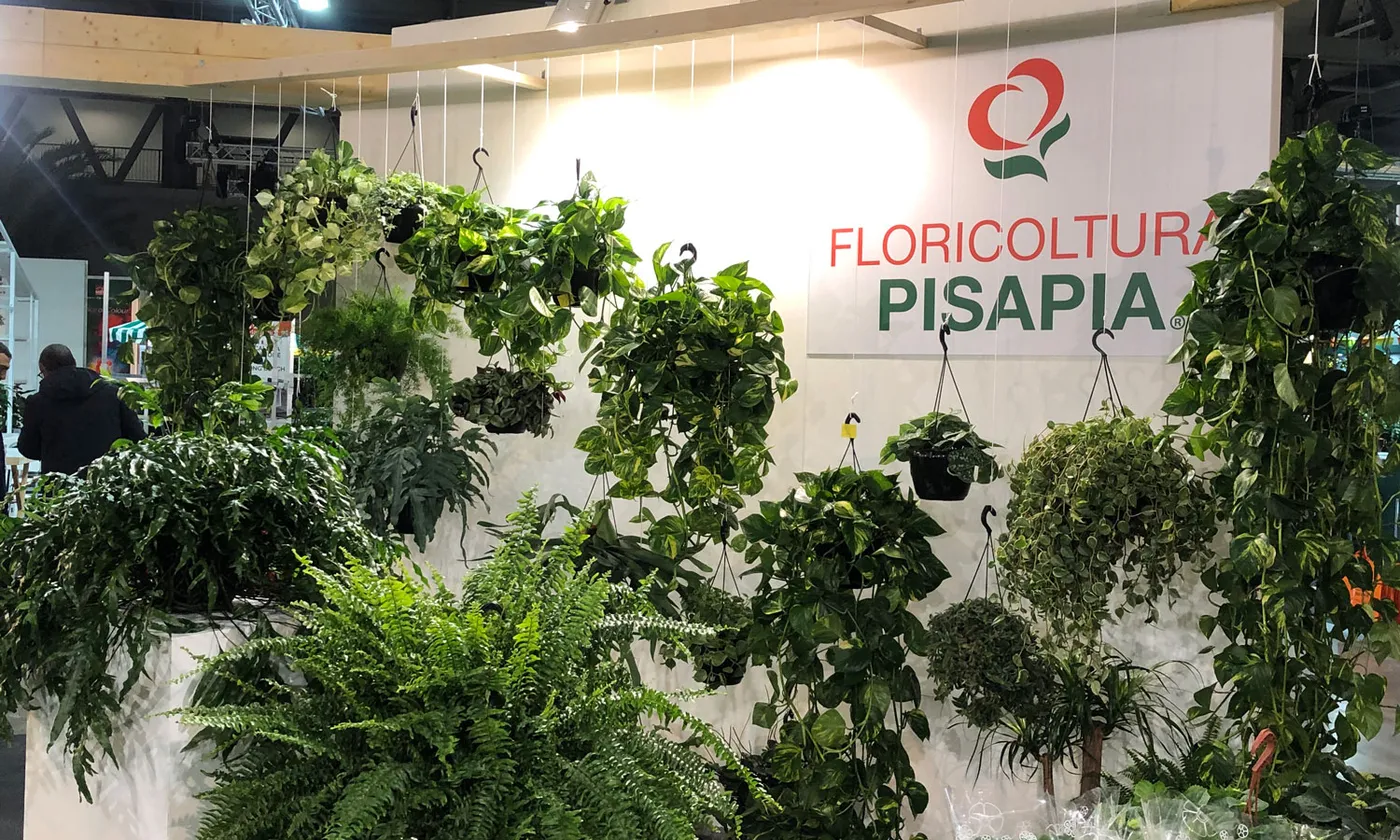 Floricoltura Pisapia brings Italian excellence in ornamental plants to Myplant & Garden Middle East 2025