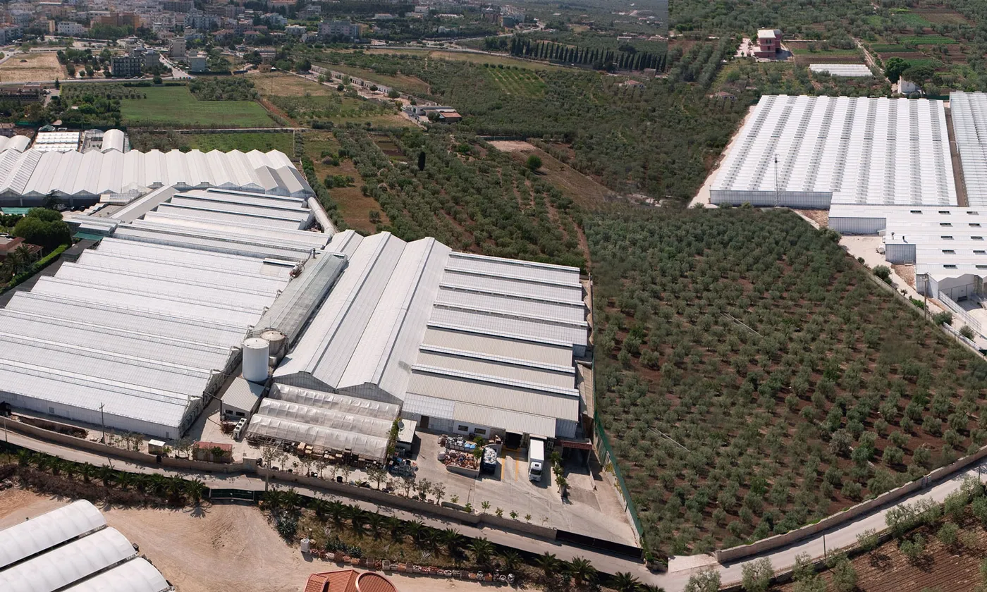Florpagano presents Italian tradition and innovation at MyPlant & Garden Middle East 2025